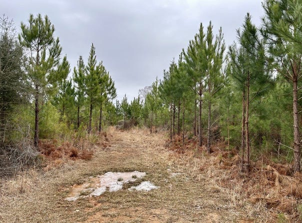 Shiloh Rd, Toxey, AL 36904