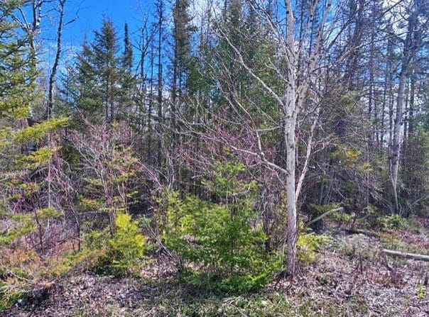 County Rd. 638 lot: 338, Presque Isle, MI 49777