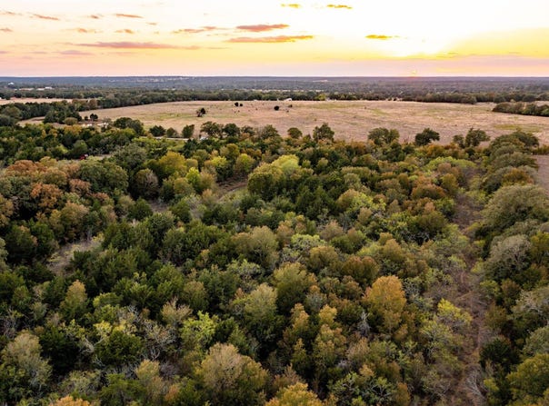 000 Tbd 17+/- Ac Grassyville RD, Paige, TX 78659