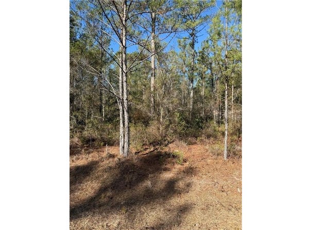 00 (lot 69) Heritage Circle, Hortense, GA 31543