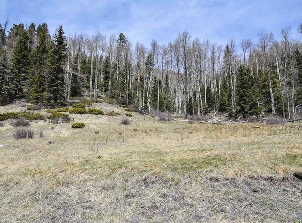Copper Creek Estates, NM 87558