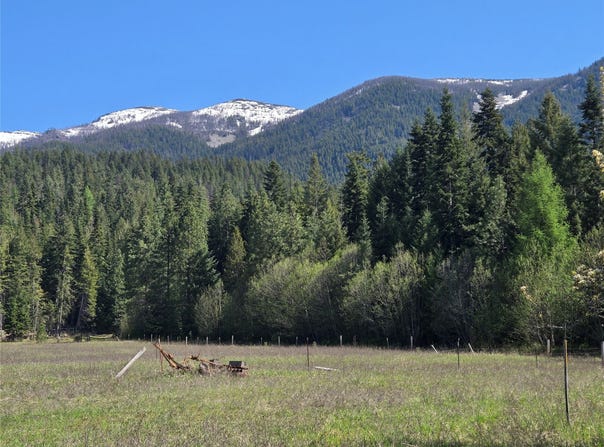 8 Dead Horse Lane, Heron, MT 59844