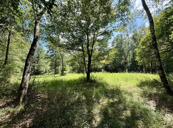 Ernest Everett Road, Vinegar Bend, AL 36584