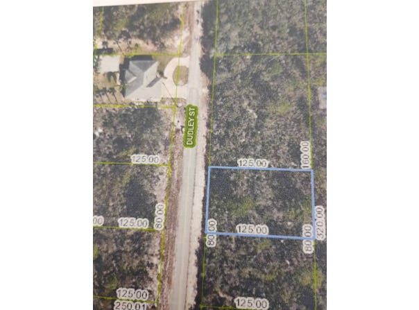 1107 Ramiro St, Lake Placid, FL 33852