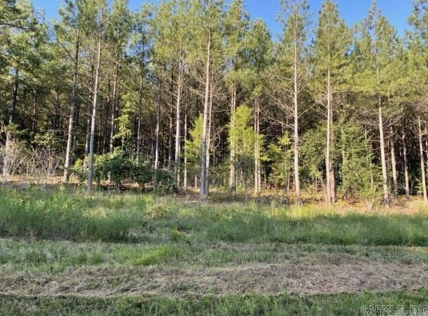Lot 4 and 5 Old Military Rd, Conway, AR 72034
