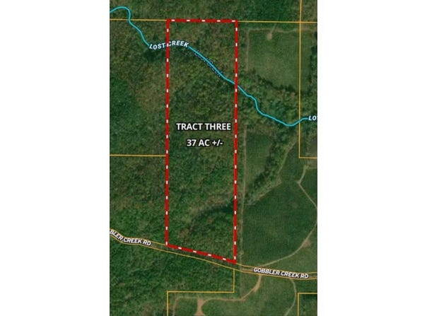 Tract 3 - Gobbler Creek Rd, Wedowee, AL 36278