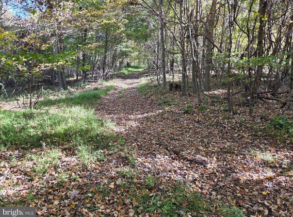 BLACK WALNUT Road, COMMODORE, PA 15729