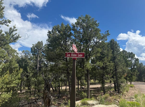 Los Nidos lot: 16, Pecos, NM 87552