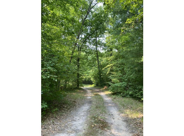 9190 Ferris Avenue, Bitely, MI 49309