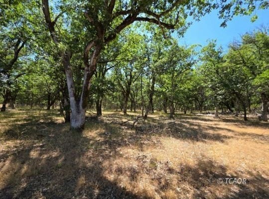 420 Oliva Dr, Hayfork, CA 96041