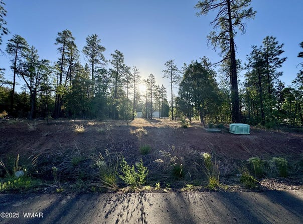 Tbd White Mtn Blvd 212-09-108Q, Lakeside, AZ 85929