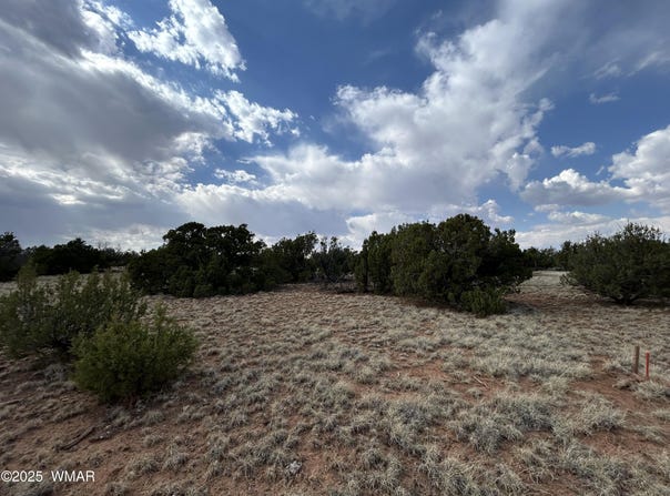 291 County Rd 8052, Concho, AZ 85924