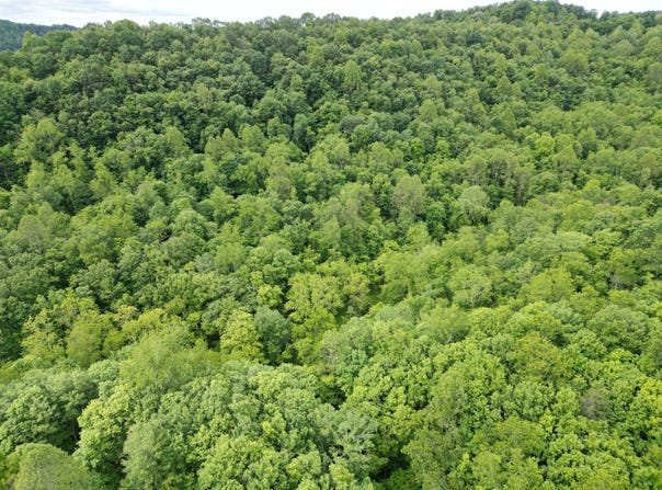 123 Charleston Road, Spencer, WV 25276