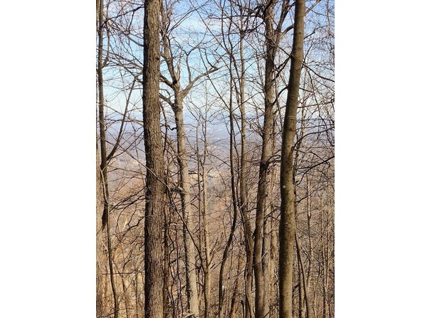 0 Bent Mountain RD, Bent Mountain, VA 24059