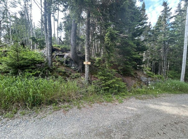 8,9,10&14 Kent/Bar Island/Wohoa Bay Road, Addison, ME 04606