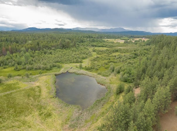 4110 Cemetery Rd, Springdale, WA 99137