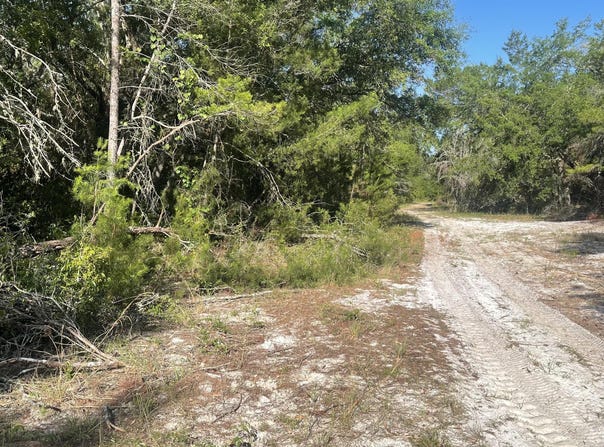 117 WAITES Drive, Florahome, FL 32140