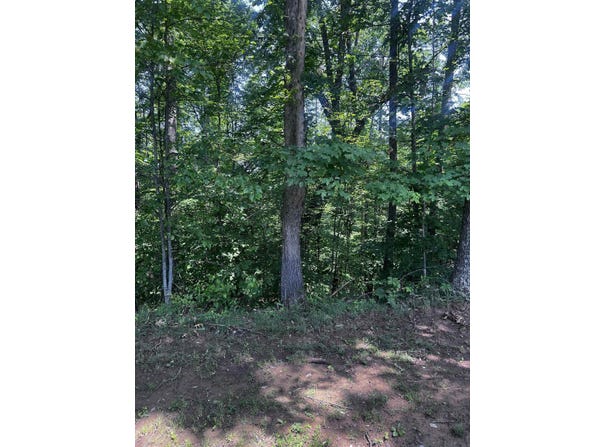 Lt 24 Jericho Road, Ona, WV 25545