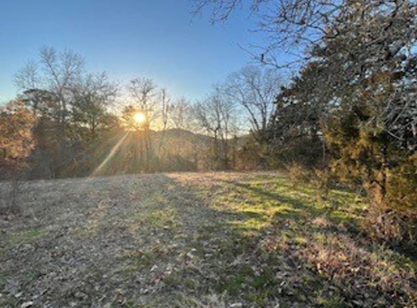 500 Jaymeson Rd., Oden, AR 71961