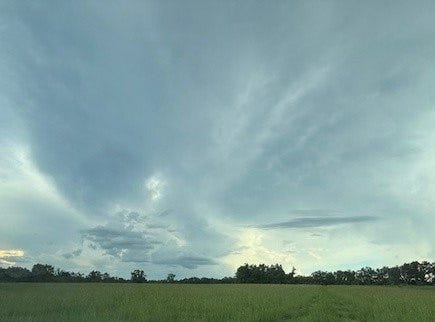 SW MAYO RD, Lake City, FL 32024