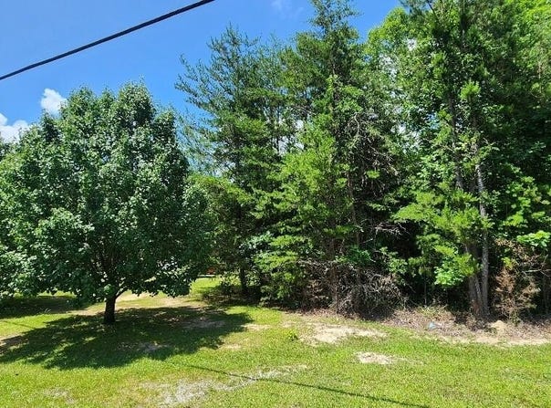 Lots 2/4 Sr 108, Gruetli Laager, TN 37339