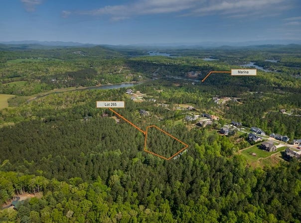 Lot 265 Thirteen Hundred S/D, Blairsville, GA 30512