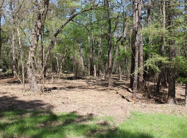 145 Crossed Arrows Road, Grapeland, TX 75844