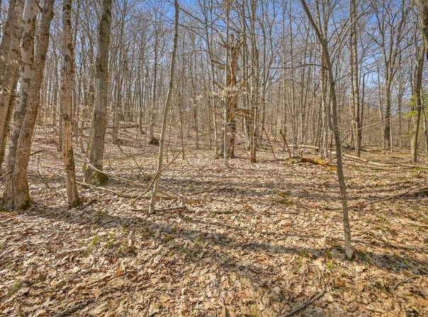 L9.113 Lutheranville Rd, Summit, NY 12175