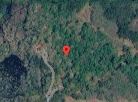 20261 Southampton Parkway, Courtland, VA 23837