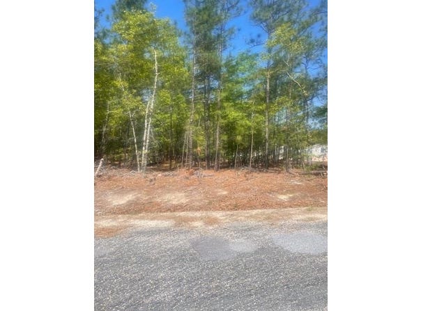 5605 Halley Road, Rembert, SC 29128