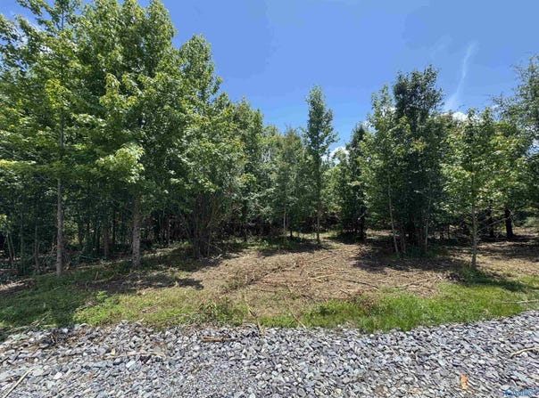 1 Razorback Way, Albertville, AL 35951