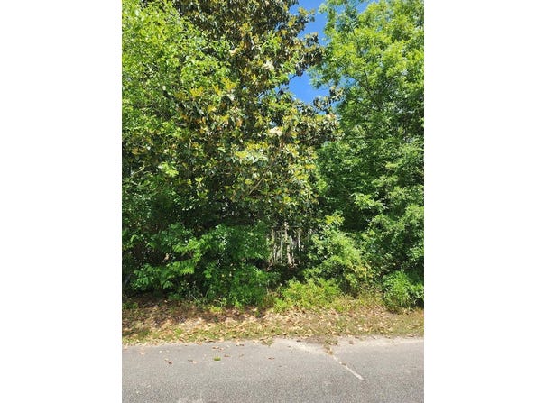25 Liberty Street, Mayesville, SC 29104