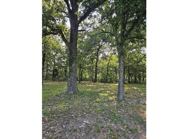 Unassigned South 4465 Road, Langley, OK 74350