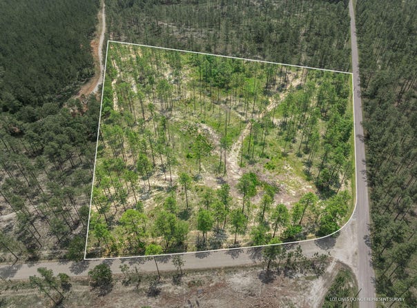 6 Acre Crown Zellerback Rd., Lumberton, MS 39455