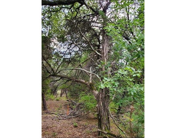 6520 Charleton Lane, Cleburne, TX 76033