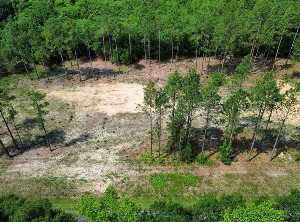 0 Wilbur Pridgen Rd., Harrells, NC 28444