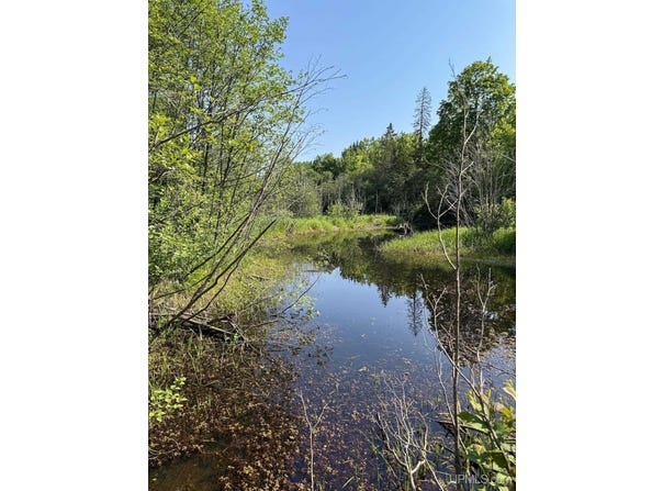 TBD Off Hwy M-64, Ontonagon, MI 49953