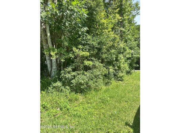 222 W HOLTZ Street, Hastings, FL 32145