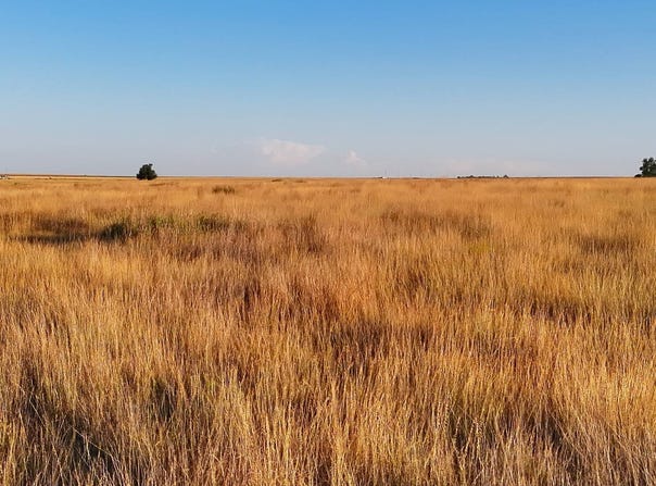 County Road 16, Deerfield, KS 67838