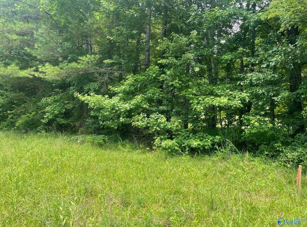 8.1ac County Road 1198, Cullman, AL 35057