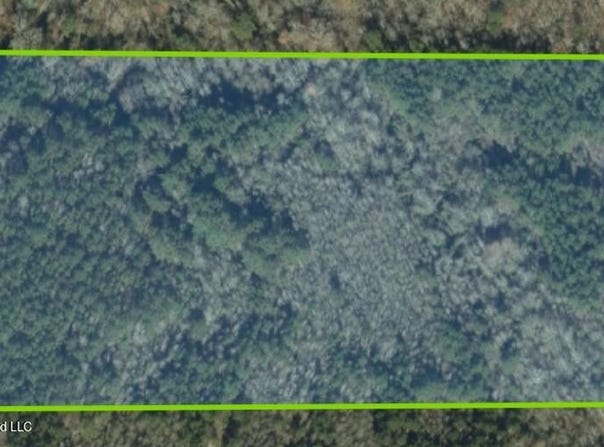 00 Pinola Braxton Road, Braxton, MS 39044