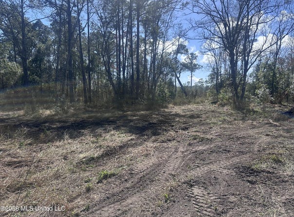 Orange Grove Road, Moss Point, MS 39562