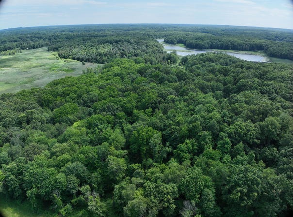 Lasher Road, Dryden, MI 48428