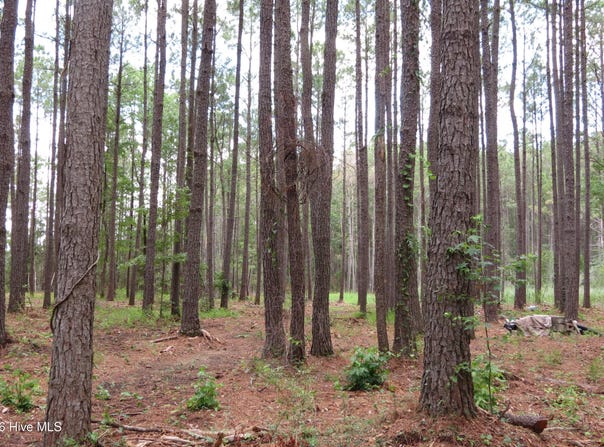 3231 Orchard Creek Road lot: 3-A, Oriental, NC 28571