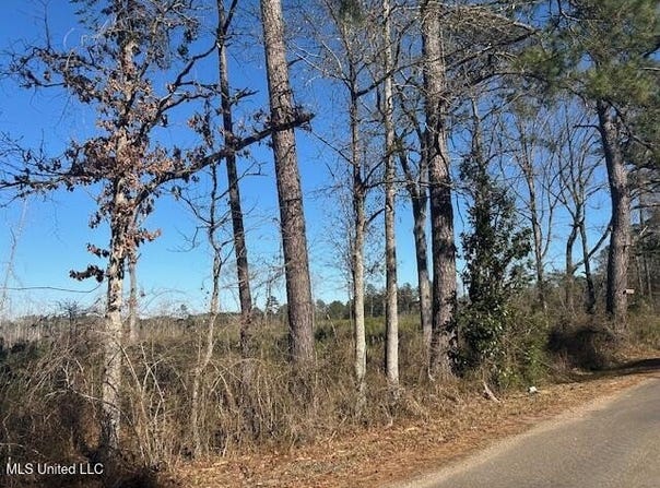 Robert Jones Road, Summit, MS 39666