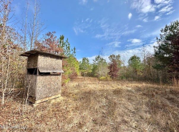 4 County Road 3122, McCool, MS 39108