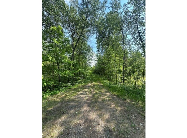 31.54 Acres Timber Wolf Drive, Hayward, WI 54843