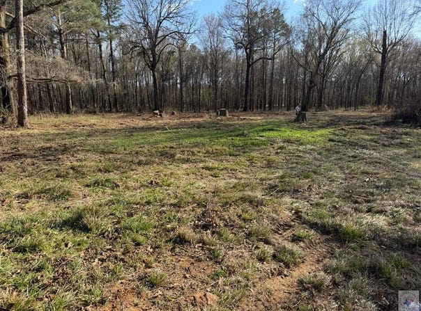 Eckert Lane, Hooks, TX 75561