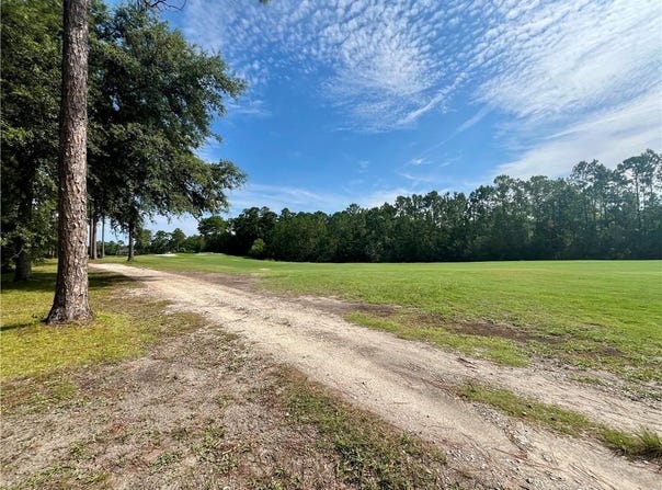 Lot 134 Sapelo Park Drive NE, Townsend, GA 31331