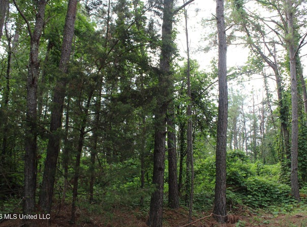 351 Waites, Holly Springs, MS 38635